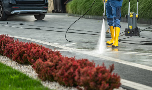 Best Soft Washing  in Van, TX